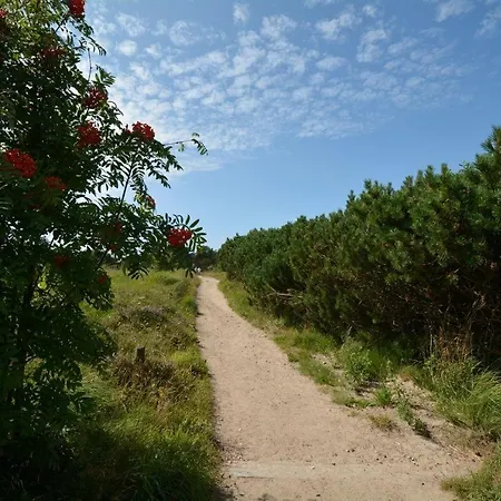 Ose * Westerland